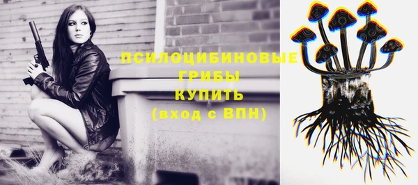 бутик Бородино