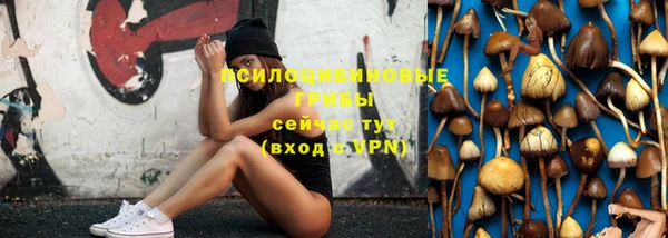 apvp Богородицк